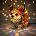 Corgi Radiante